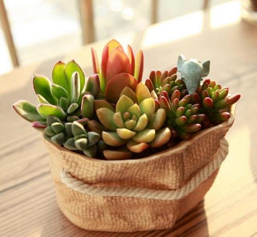 ӡȶس̨ʩϿף ǿ